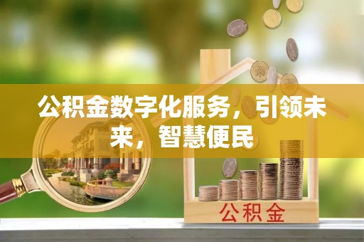 精河公积金数字化服务，引领未来，智慧便民