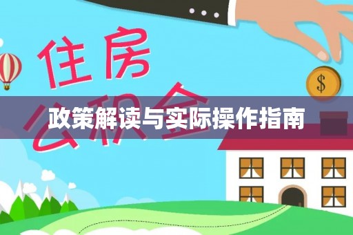 精河政策解读与实际操作指南