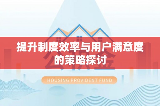 精河提升制度效率与用户满意度的策略探讨