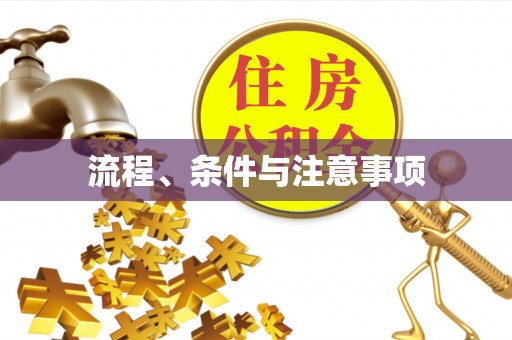 精河流程、条件与注意事项